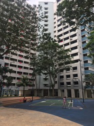 bukit-batok-street-24 photo thumbnail #11